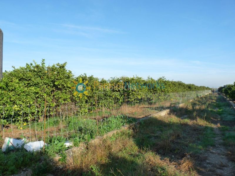 Foto c3aeb5e1-a42f-411c-b39e-d538b7f1b335. Finca rústica a Oliva pueblo Oliva
