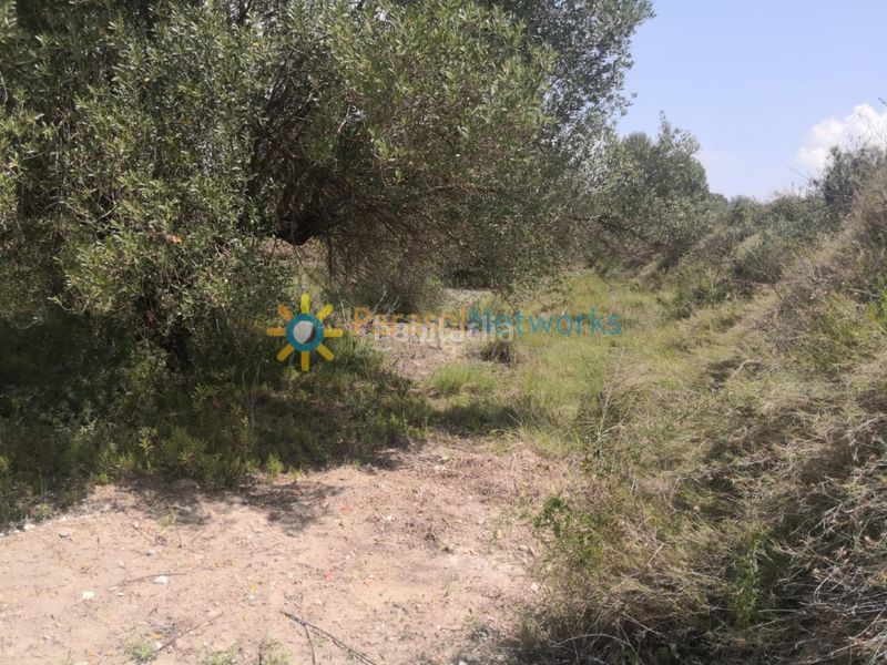 Foto a52b196e-4acf-4a2e-8b66-c7db899f4d0a. Finca rústica a Castelló de Rugat