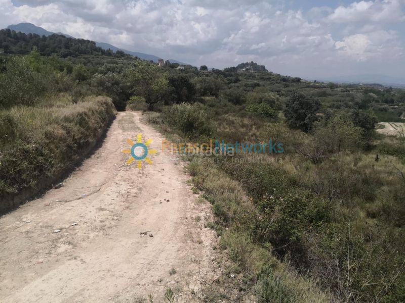 Foto e69c7d62-7557-45b8-9f41-2f84e112d445. Finca rústica a Castelló de Rugat