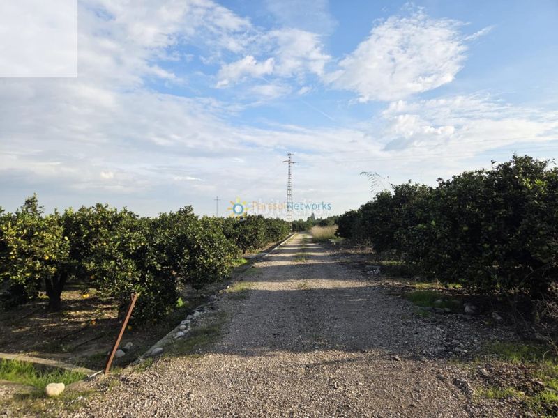 Foto dc05a97b-bf77-4088-8b34-c73e42853be8. Finca rústica a Senyera