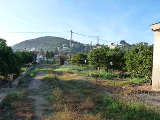 Finca rústica a Oliva Pueblo. Parcela de venta en oliva