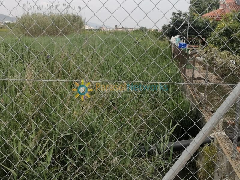 Foto ca675f77-2b45-477c-ae08-0fc14d5af12a. Finca rústica a Guardamar