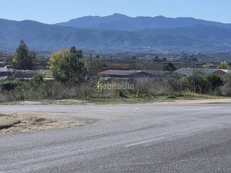 Foto 0201761d-c97c-441f-801a-8f86f2a567b9. Finca rústica a Benigànim