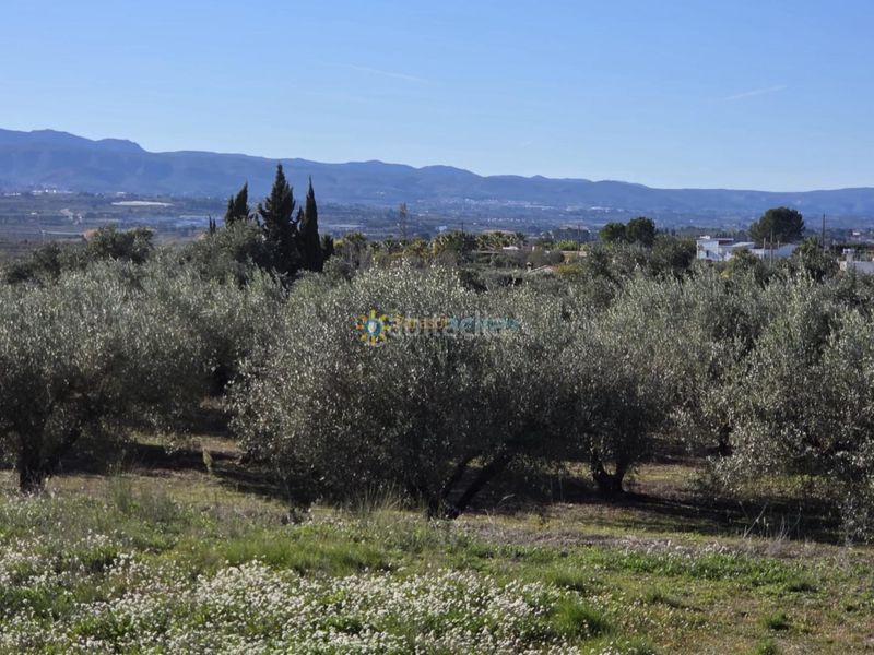 Foto 087fc3de-92b1-4221-8334-df5fcb050707. Finca rústica a Benigànim