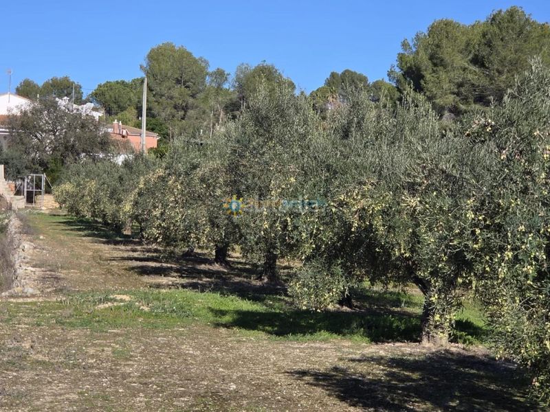 Foto 6918f431-9f50-4e77-a315-e4a1b5069647. Finca rústica a Benigànim