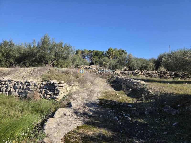 Foto 6ed1c42f-4206-4d0d-a067-3446854b5872. Finca rústica a Benigànim