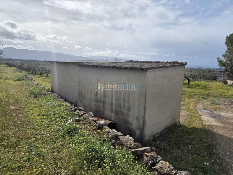 Foto b602f800-9331-4e4c-8f25-bdac2b78c17b. Finca rústica a Benigànim