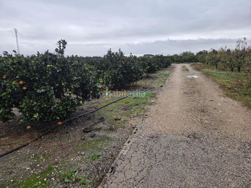 Foto afb16a8b-40b1-4b12-a69d-a945011b61e1. Finca rústica a Senyera