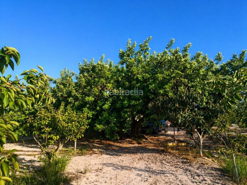 Foto 47f0d26e-1690-42af-ae8a-34d9d2119944. Finca rústica a Albaida