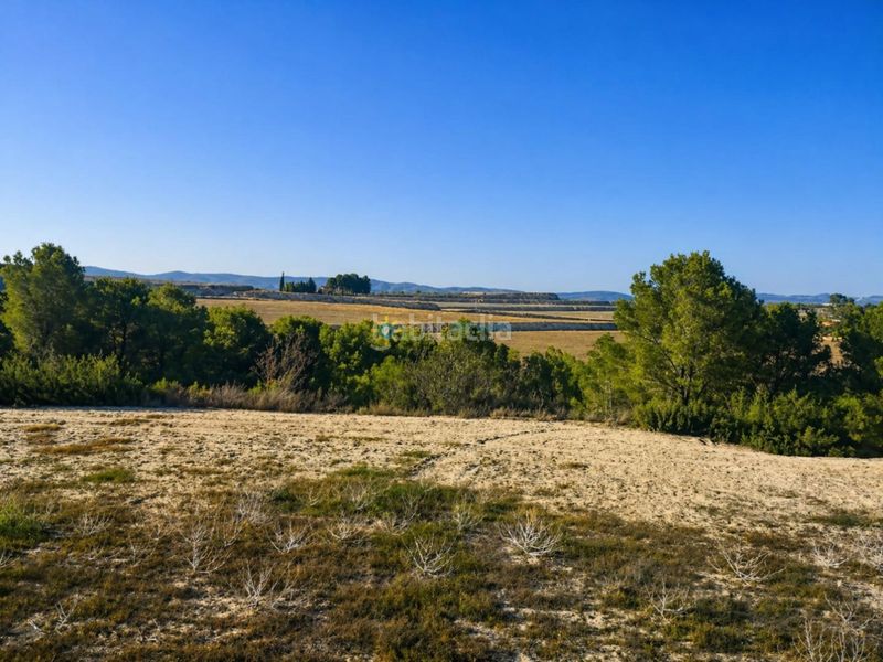 Foto 57a8cd53-9ae5-431d-b3c5-9695e366f2d8. Finca rústica a Albaida