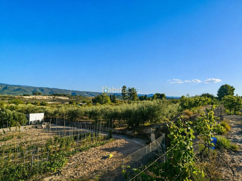Foto daf276be-9688-4c60-815b-0eeee7e5a6b5. Finca rústica a Albaida