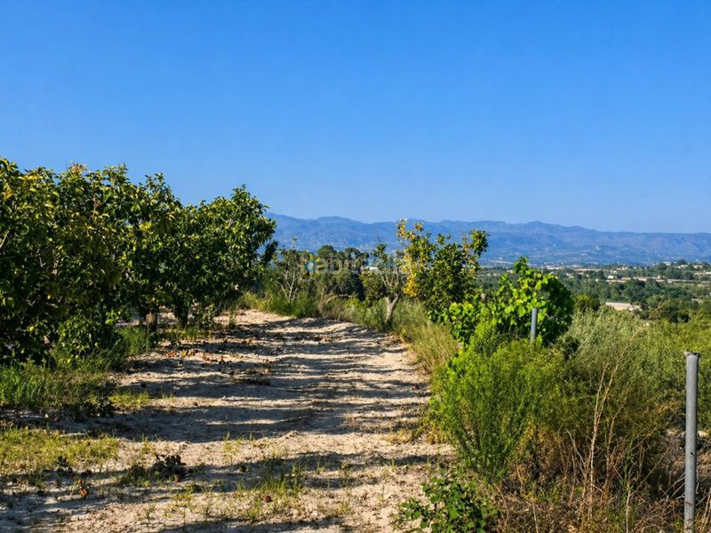 Foto f188ee9b-a076-47d8-9475-b68d32fe6db6. Finca rústica a Albaida