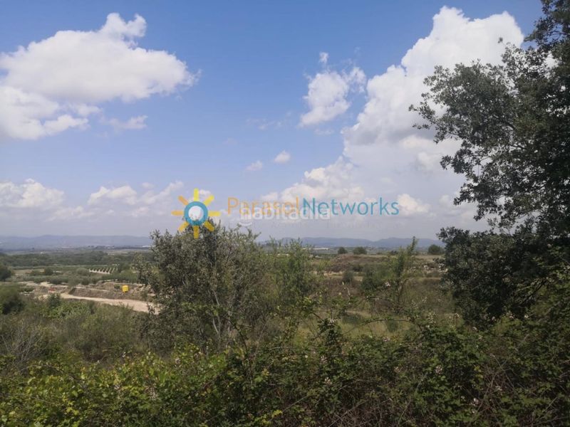 Foto b1e7f452-0bd2-4745-895f-13bc3305a7c0. Finca rústica a Castelló de Rugat