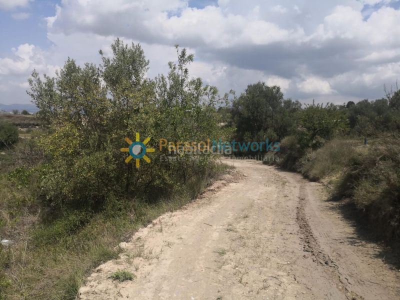 Foto e1cd9c47-3144-4d13-8034-e52891c6e9bf. Finca rústica a Castelló de Rugat