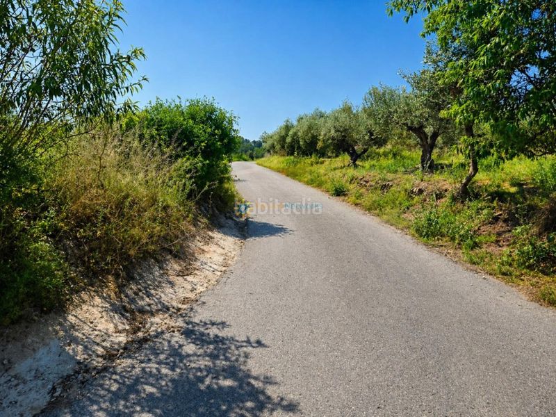 Foto 5316d549-b0de-48a5-a079-5b50f50e6683. Finca rústica a Bellús