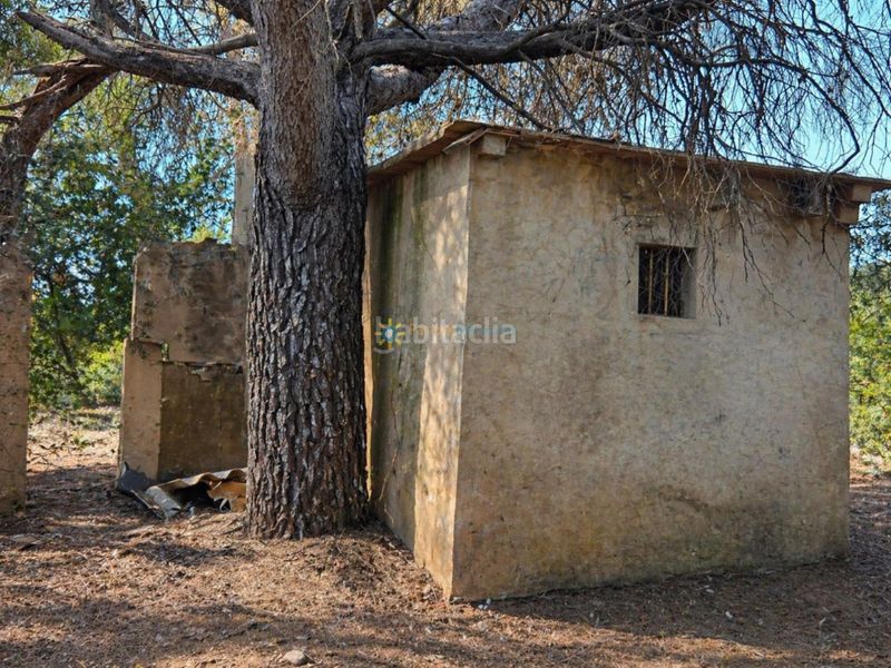 Foto cc2fe1e3-d45c-4de3-99c0-66b6b0d05f15. Finca rústica a Bellús