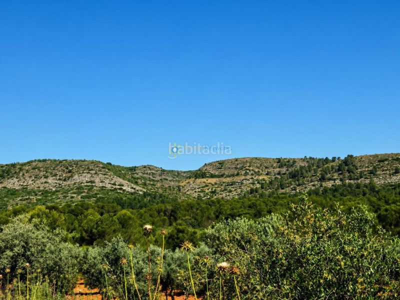 Foto cfff2233-5de4-4958-9856-b7829737d0c7. Finca rústica a Bellús