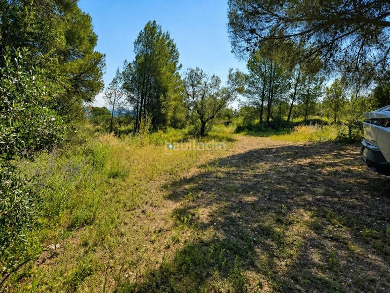 Foto eb91bb60-4ae7-44e1-8105-77fd3ca44758. Finca rústica a Bellús