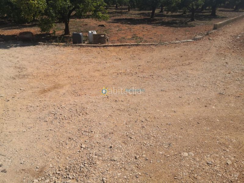 Foto 0bef9d00-a287-4b45-a067-f46525ffa4e6. Finca rústica a Oliva pueblo Oliva
