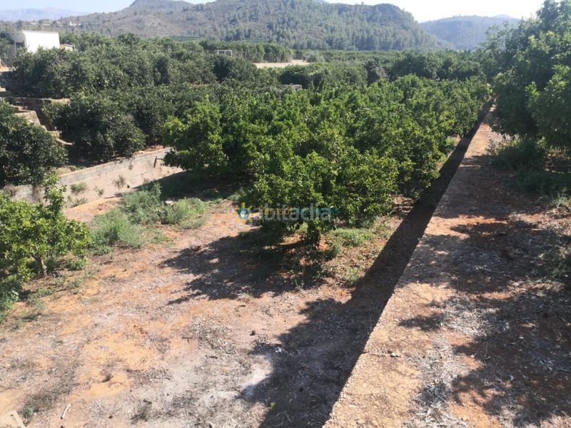 Foto ef9089ee-8257-4226-9f68-e1ae766d2b17. Finca rústica a Oliva pueblo Oliva