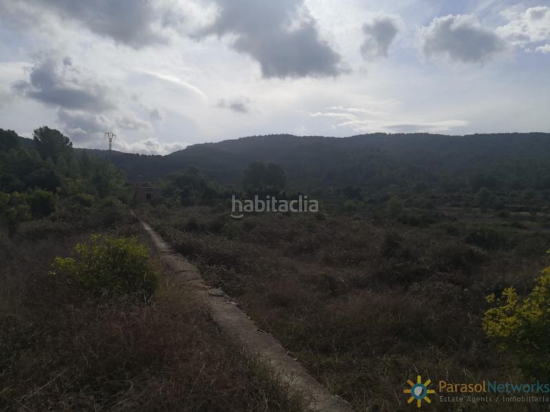 Foto c443301f-755c-4bde-b92a-53c64bd79027. Finca rústica a Vilallonga / Villalonga