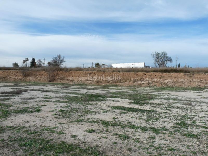 Foto 5fd958cc-a334-4118-a2bf-ab0b08a976c5. Finca rústica a Benissuera