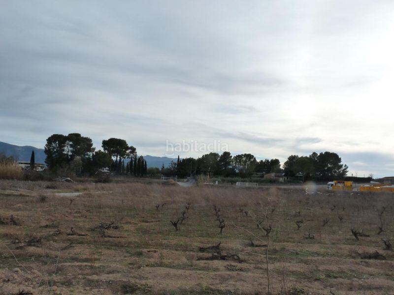 Foto f955b1ea-ece0-49e3-9292-753be04a88f1. Finca rústica a Benissuera