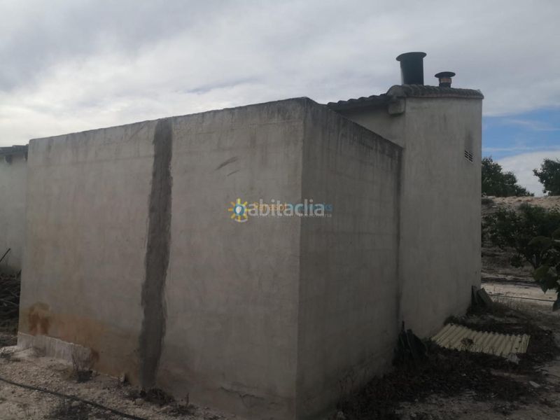 Foto 1257c891-aeb7-4f72-85a2-f030965995d4. Finca rústica a Benigànim