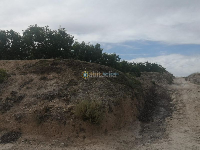 Foto aa487212-da80-47c7-8736-3455c0414b48. Finca rústica a Benigànim