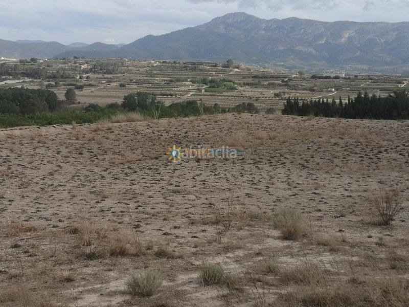 Foto c5f35728-bdf4-404b-a425-1517704b2c82. Finca rústica a Benigànim