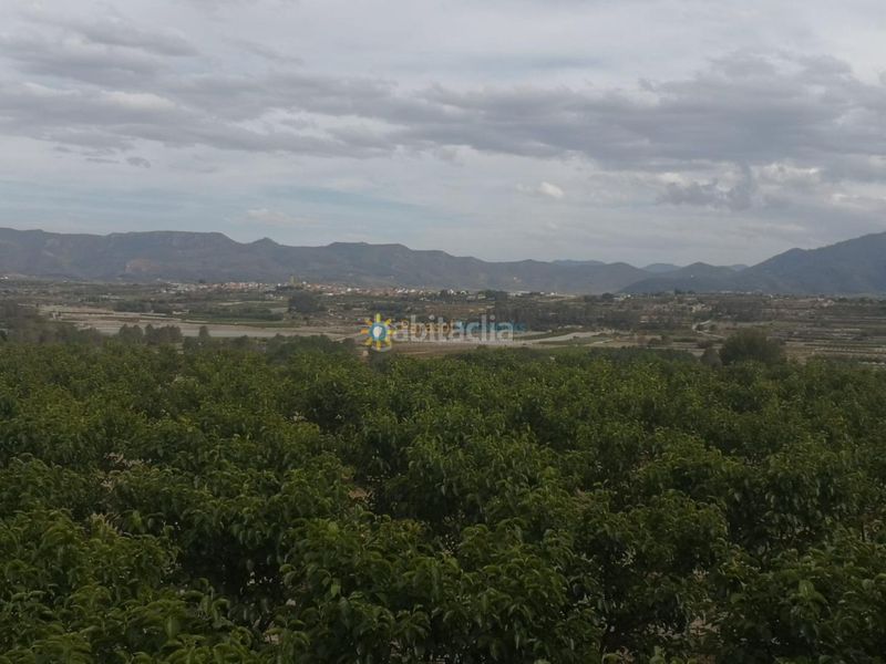 Foto c72d292f-477e-43cc-85ac-0d56f380fe6f. Finca rústica a Benigànim
