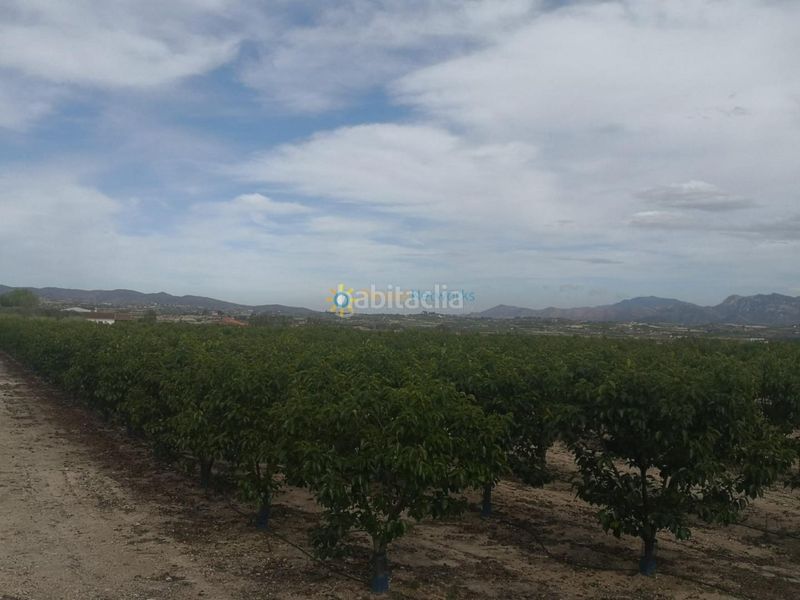 Foto d900075f-de08-43ac-b20a-969c7990a6f3. Finca rústica a Benigànim