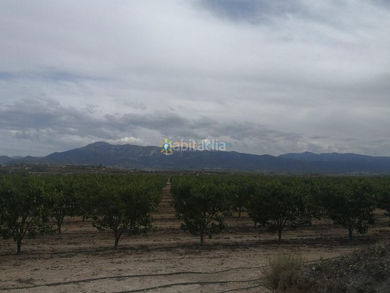 Foto f1f375ed-7e74-4632-ab12-678ce7e0554f. Finca rústica a Benigànim