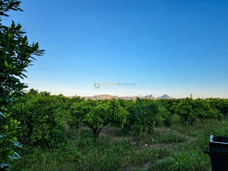 Foto 71cfc5fc-3f71-4383-bdd8-5687f22d5aa7. Finca rústica a Palmera