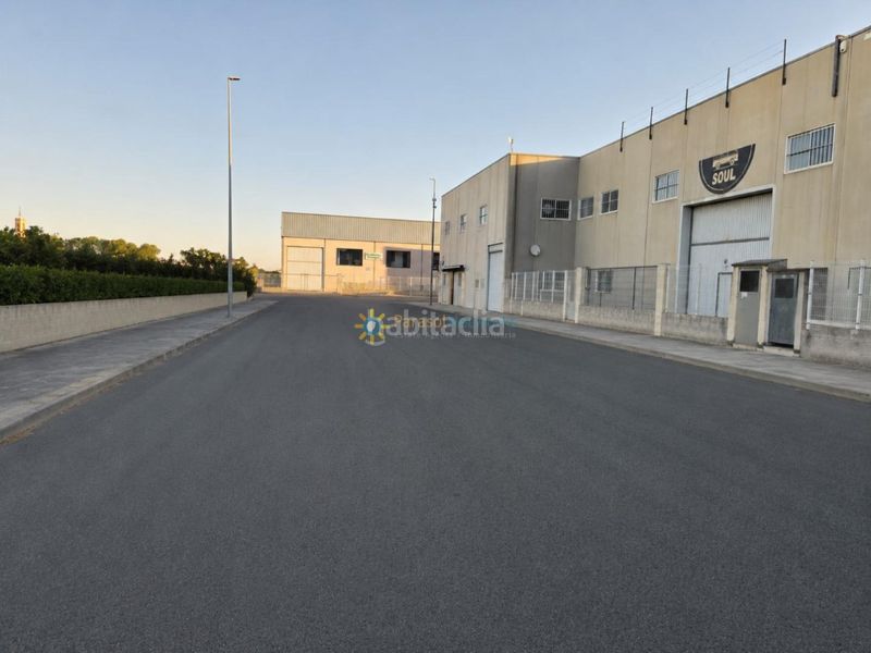 Foto f0a2d320-7d2b-4b0e-991c-28e4c6cdb3d9. Finca rústica a Palmera