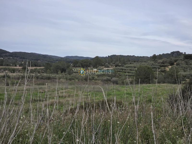Foto 38d7dd80-6881-42e5-83f0-2a3d93c67b75. Finca rústica a Benigànim