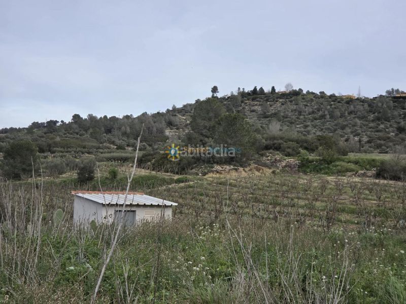Foto 59e30ea2-7fb6-47ef-8391-8c5d3423b466. Finca rústica a Benigànim