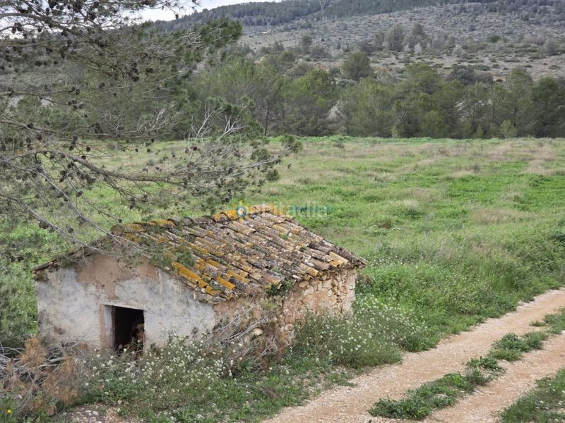 Foto 979a2f29-f9e4-4ce3-8307-52a5e1421476. Finca rústica a Benigànim