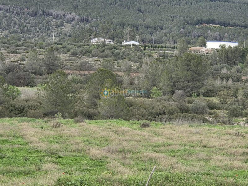 Foto b660f827-da93-46bc-9398-591198afae8b. Finca rústica a Benigànim
