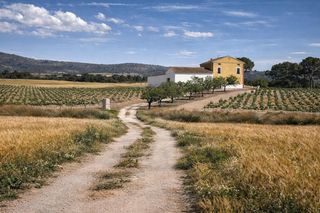 Casale in El Mercado - Plaza de Toros. Finca rústica de venta en villena