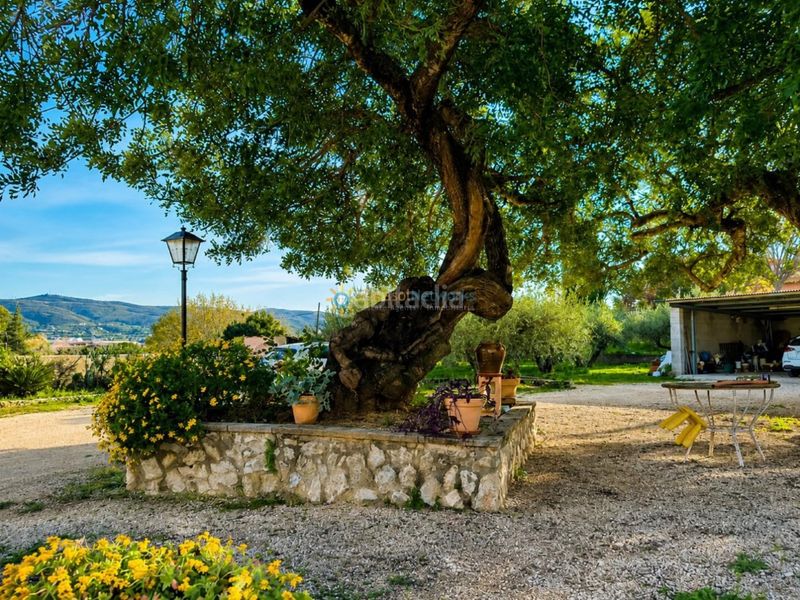 Foto 8bbcfd38-20b9-46a8-9e5f-42717f9b4094. Chalet  de venta en Santa Ana Ontinyent