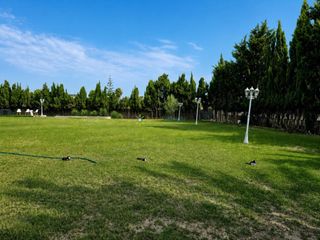 Finca rústica a Oliva Pueblo. Parcela completamente llana de 1.753 m², con fácil acceso