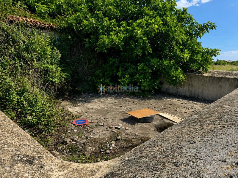 Foto ae49e707-995a-4262-8bdc-6a7ec41c4f2e. Finca rústica a Piles