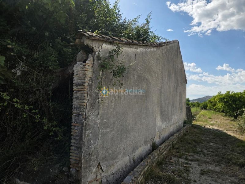 Foto df87aff7-1d80-4f3f-a1fa-c3fef596581a. Finca rústica a Piles
