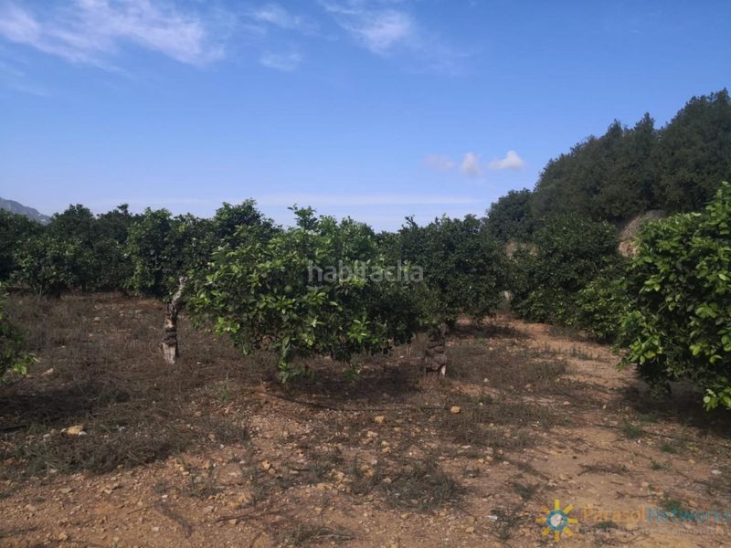 Foto 08b1c16a-a181-4517-bc7e-1a546b43ab67. Finca rústica a Vilallonga / Villalonga