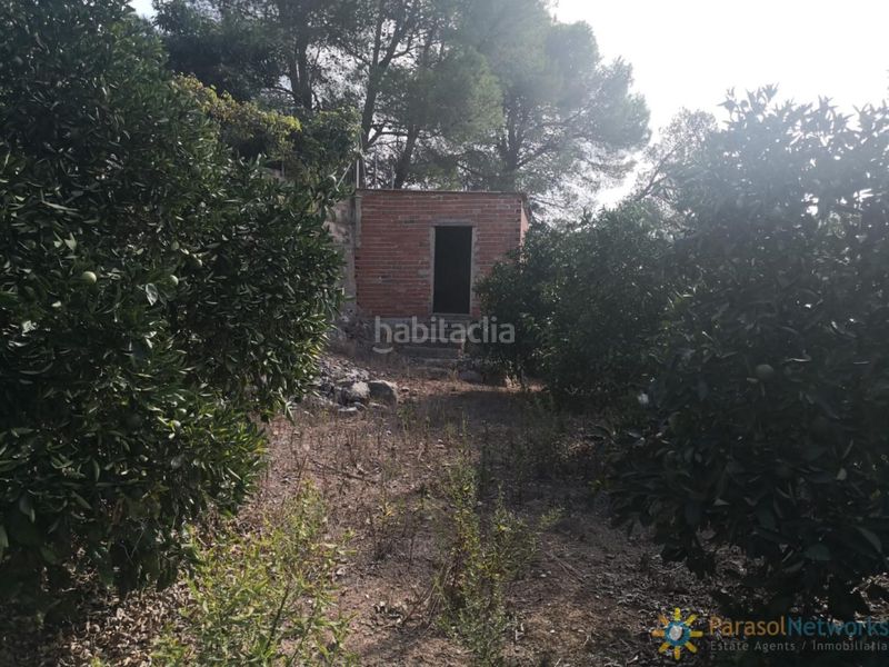 Foto a08a83df-1d86-44c4-9bb9-2d0b190ba71f. Finca rústica a Vilallonga / Villalonga