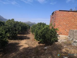 Finca rústica a Vilallonga / Villalonga. Terreno de venta en villalonga