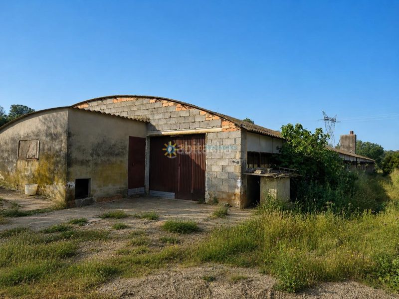 Foto c7cd2f93-ba6f-4ee5-be91-d401dd86895c. Finca rústica a Benigànim