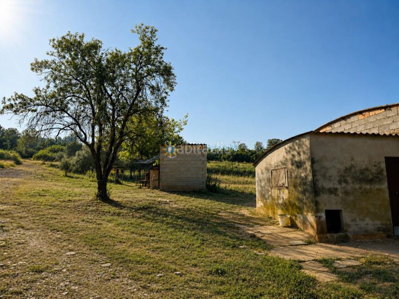 Foto feefa2c7-0eae-4a9e-871e-98036b842ef1. Finca rústica a Benigànim