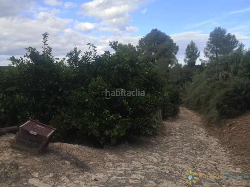 Foto 53d31120-a063-4d77-8623-729097cf88b5. Finca rústica a Sellent